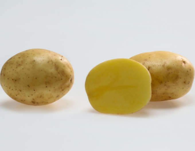 Sadbové zemiaky ´Soraya´ 5kg