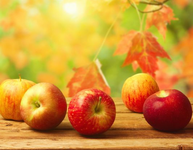 Jabloň Jonathan zimná, podpn. MM106, voľnok.