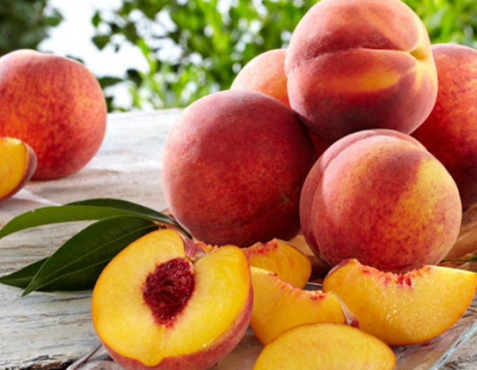 Broskyňa "Flamingo" poloskorá, podp.ISHTARA, voľnok.