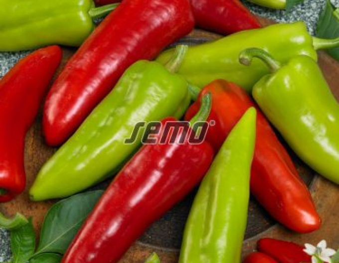 Semo Paprika ročná ´Dráky F1´