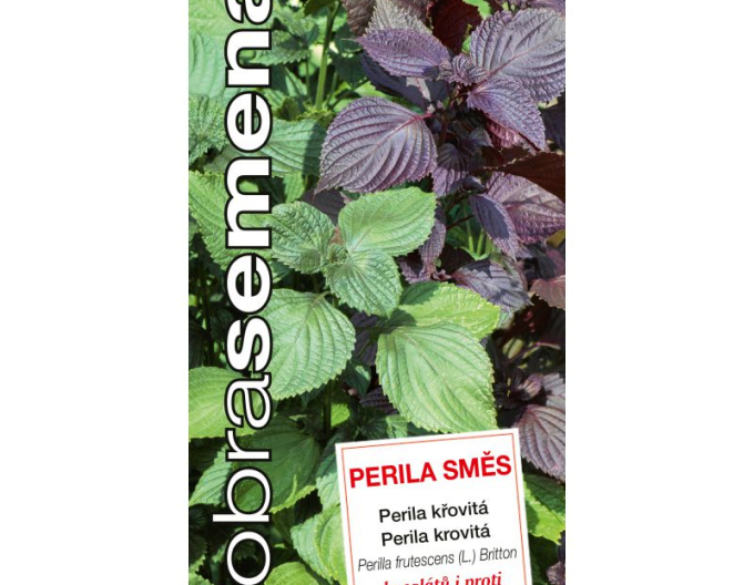 Dobrá semena Perila krovitá