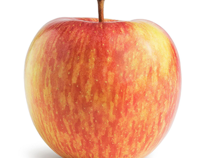 Jabloň Fuji zimná, podpn. M9, voľnok.