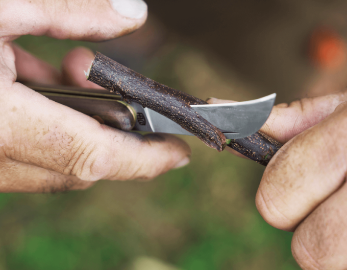 FELCO 511  Očkovací nôž na vinič