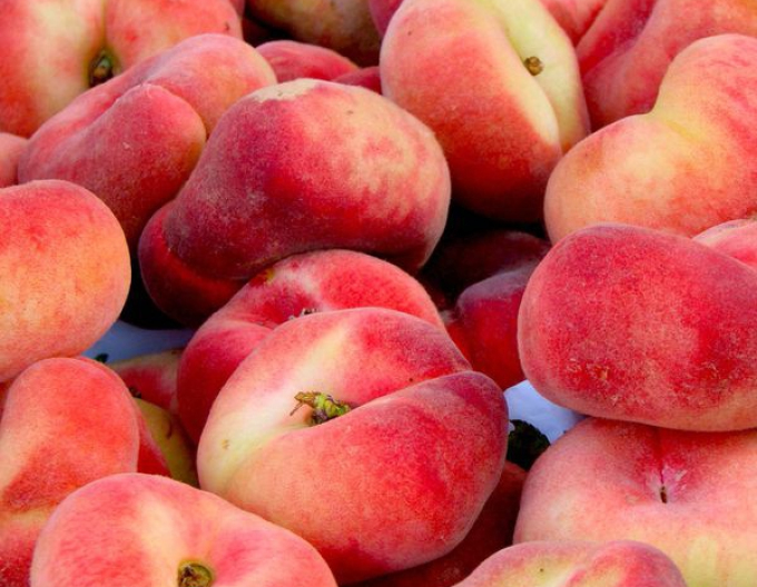 Broskyňa "Sandwich gelb" skorá