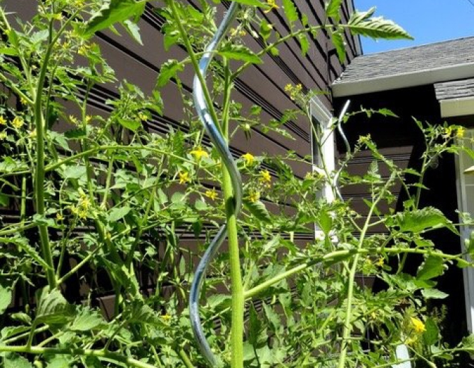 Špirála na rajčiny 180cm