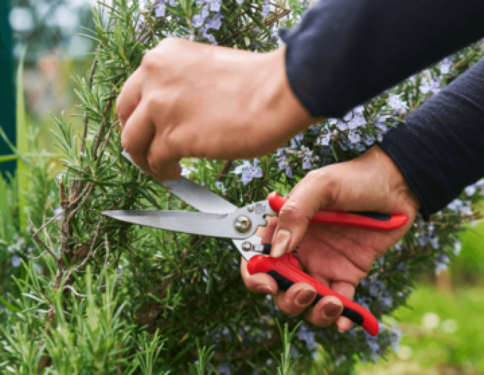 FELCO 456 Univerzálne nožnice