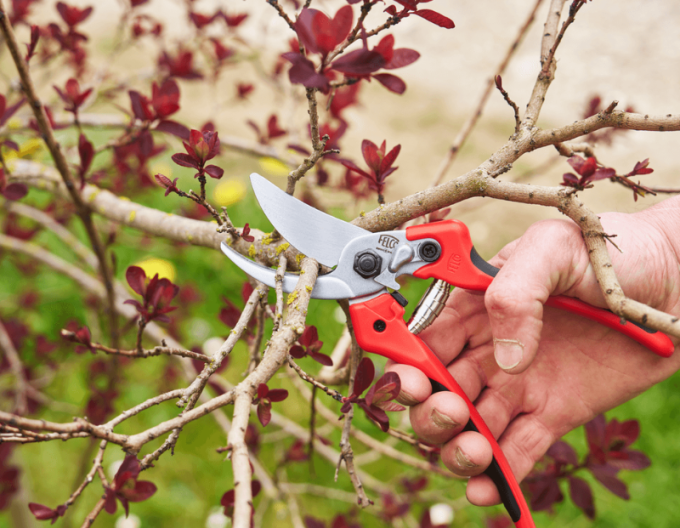 FELCO 171L Nožnice + FELCO 902 brúska