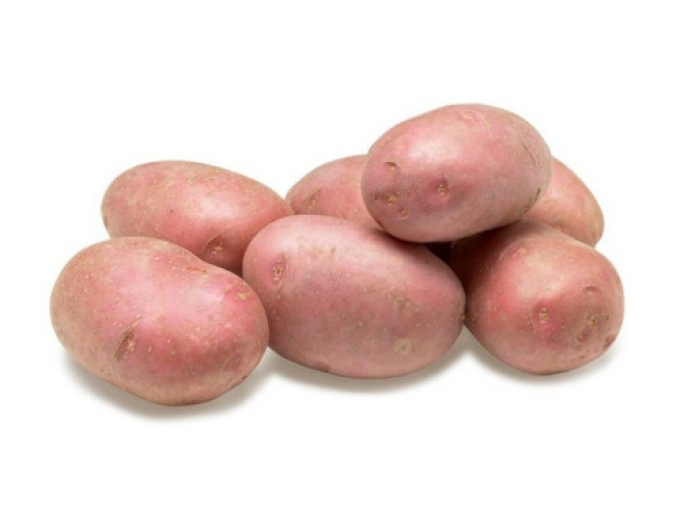 Sadbové zemiaky ´Memphis´ 5kg