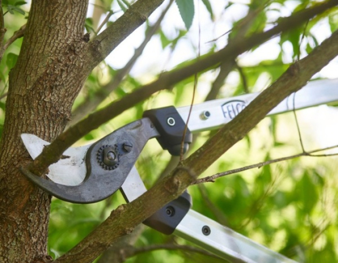 FELCO 211 - 60 Obojručné nožnice na konáre
