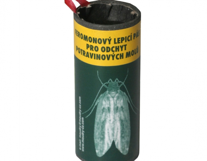 FEROKAP LEPIACI PÁS NA MOLE