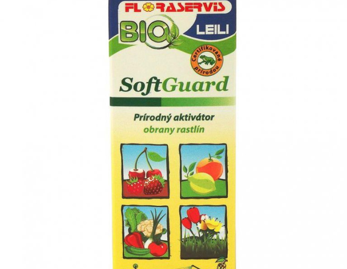 SOFTGUARD 100ml