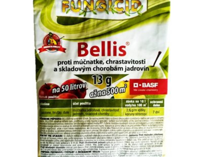 BELLIS 13g