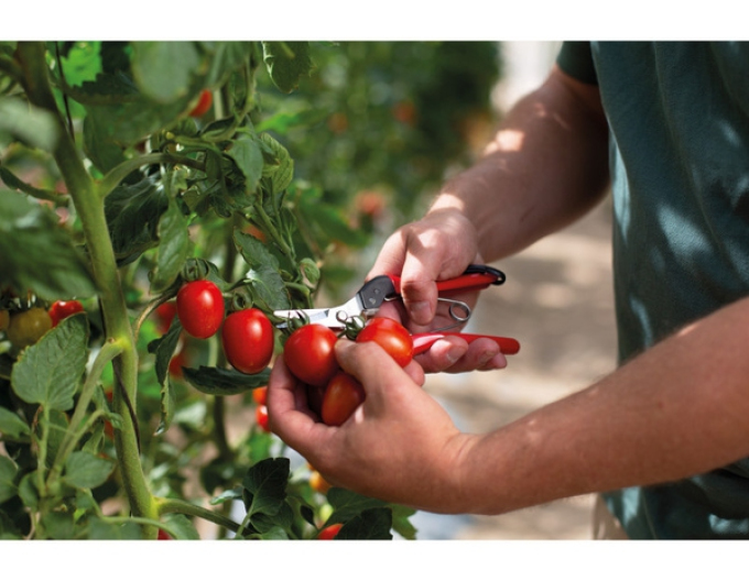 FELCO 321  Zberové nožnice